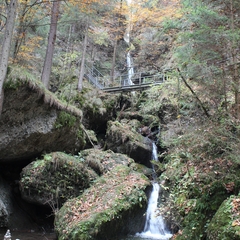 Hundetreffen 2018 im Allgäu (5)